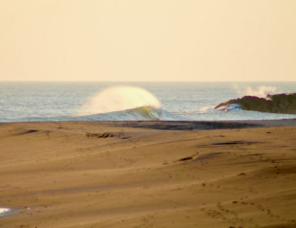 Surf_Open2